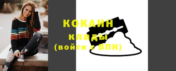 тгк Арсеньев